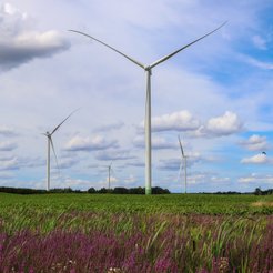 Farmy wiatrowe wchodzą w skład obszernego portfela OZE rozbudowywanego dynamicznie przez Grupę Enea