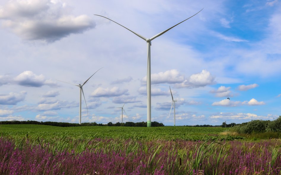 Farmy wiatrowe wchodzą w skład obszernego portfela OZE rozbudowywanego dynamicznie przez Grupę Enea