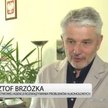 www.newseria.biznes.pl
