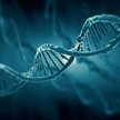 Cała cyfrowa zawartość świata mogłaby zmieścić się w zaledwie kilku kilogramach DNA, a więc w nieduż