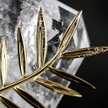 Cannes 2017: Młodzi Polacy w Cannes