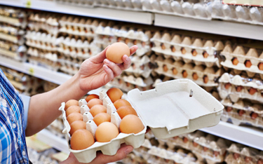 W jajach z popularnej sieci marketów wykryto salmonellę
