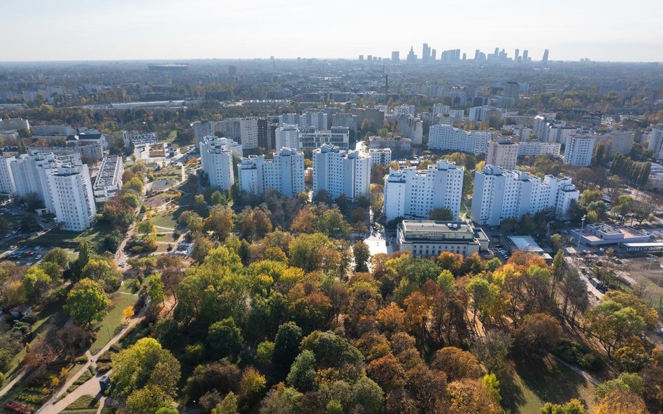 Wstępna koncepcja zagospodarowania Parku Wiecha stawia na pierwszym planie zieleń, która ma królować