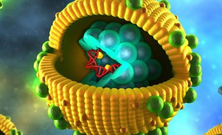 Kontakt z wirusem WZW C mogło mieć 700 tys. Polaków