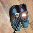 Zwolennicy Hillary Clinton palą New Balance'y. Winny Donald Trump