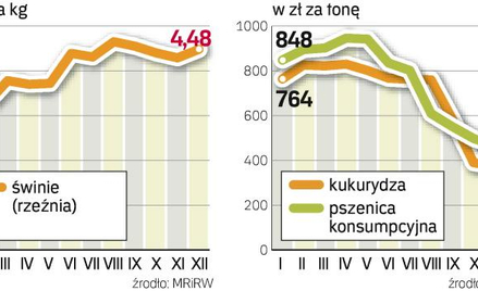 W minionym roku drożało mięso wieprzowe. Natomiast znacznie spadły ceny skupu zbóż.