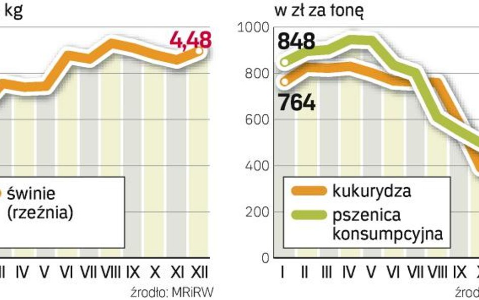 W minionym roku drożało mięso wieprzowe. Natomiast znacznie spadły ceny skupu zbóż.