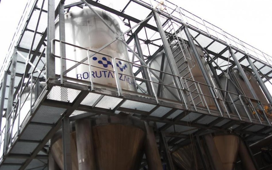 Boruta Zachem miał 0,44 mln zł zysku netto w II kw. 2019 r.