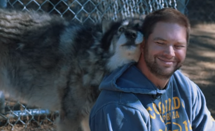 Wilki terapeutami weteranów wojennych