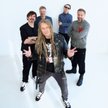Darek Malejonek na czele Houk, wystąpi na Jarocin Festival'26