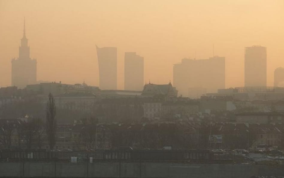 Rząd zbyt opieszale walczy ze smogiem