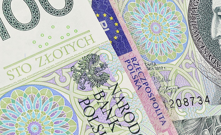 Szybkie zastrzeżenie numeru PESEL może uchronić przed kredytem