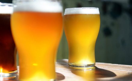 Australijski browar chce ratować klimat przy pomocy alg