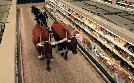 W „Onirice” współczesny świat, pełen klęsk i deformacji, zderza się ze światem wykreowanym przez Dan