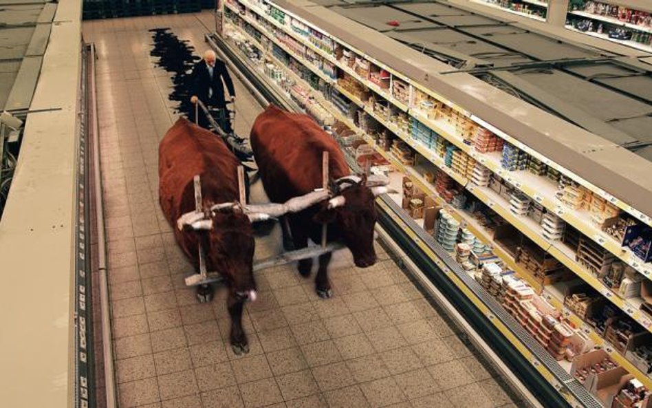 W „Onirice” współczesny świat, pełen klęsk i deformacji, zderza się ze światem wykreowanym przez Dan