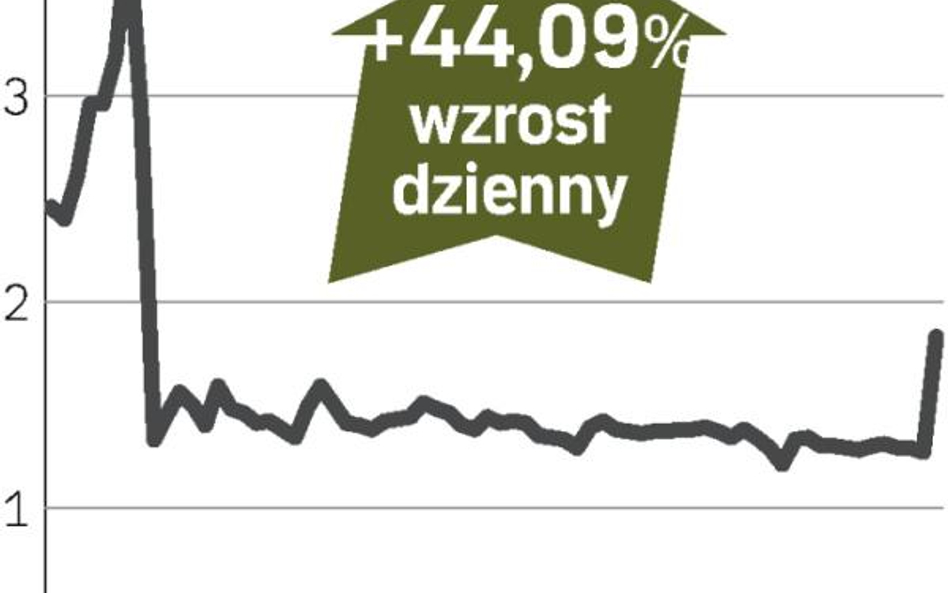 Możliwość uniknięcia bankructwa