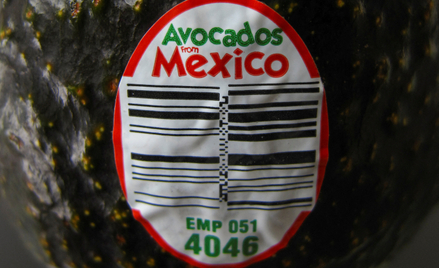 Import awokado z Meksyku do Stanów Zjednoczonych został wstrzymany