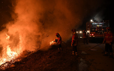 Tragiczne pożary w Portugalii. Dymisja szefowej MSW