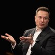 Musk osłabił bitcoina