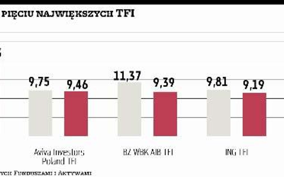 Duże TFI tracą udział w rynku