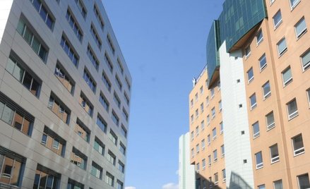 Rośnie podaż nowych ofert