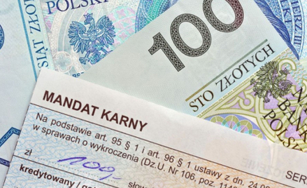 Ministerstwo: nie będzie kar 30 tys. zł za drobne wykroczenia