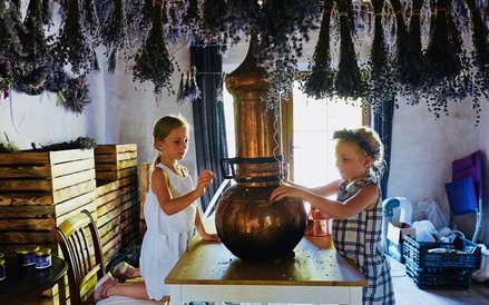 Lawendowa Osada. W lawendowych oparach można nauczyć się własnoręcznego wyrobu kremu, olejków i mydł