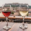 Wina Mazurka: Wakacje i wino