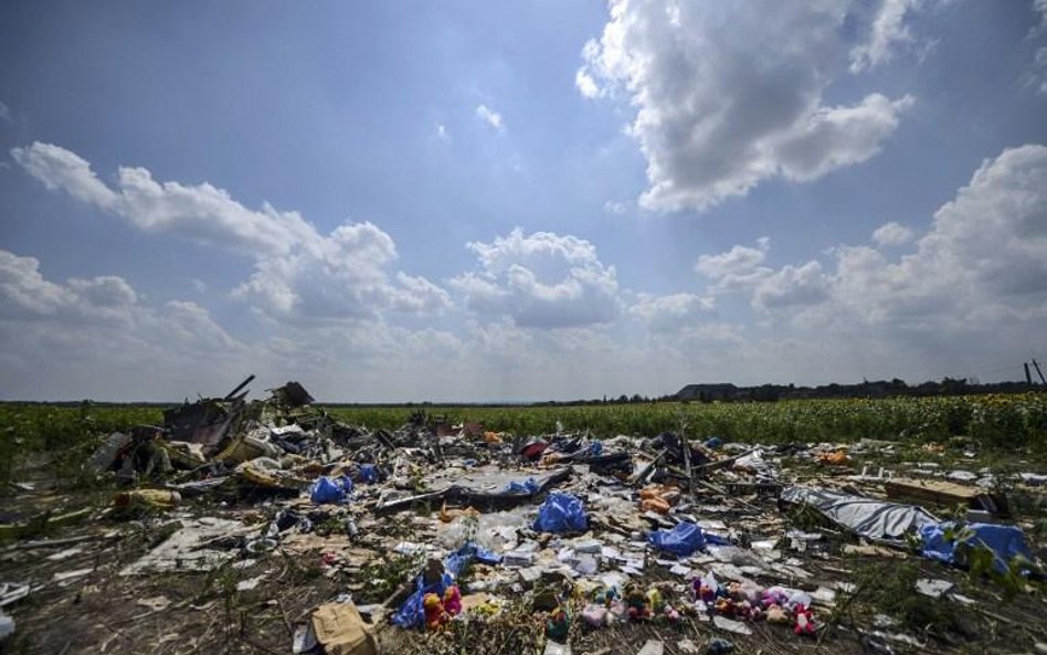 Niemka pozywa Ukrainę za katastrofę MH17