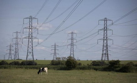 Elektrownie chcą tańszego węgla
