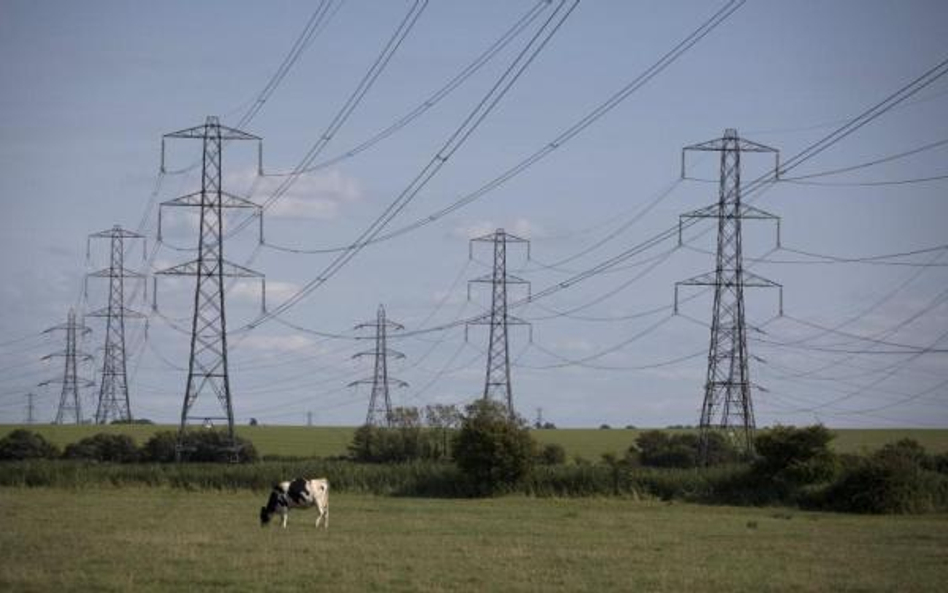 Elektrownie chcą tańszego węgla