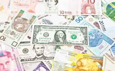 Waluty: euro umacnia się do dolara, złoty korzysta