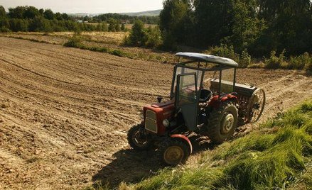 Domownika trzeba zgłosić do ubezpieczenia