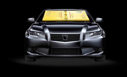 Blokada na szybie. Tak się karze za złe parkowanie w USA