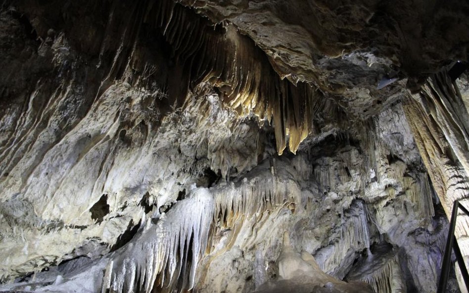 Jaskinie w Han-sur-Lesse w Belgii