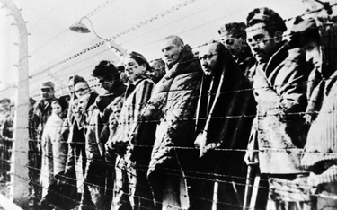 Ruch oporu w Auschwitz: Konspiracja za obozowymi drutami