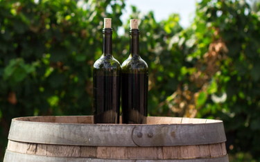 To badanie potwierdza: wino organiczne smakuje lepiej