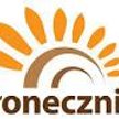 Słoneczniki 2014 - nagrody na najlepsze inicjatywy dla dzieci
