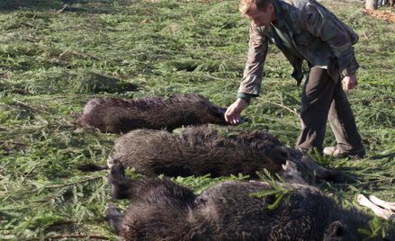 Nie każda informacja od związku łowieckiego podlega udostępnieniu