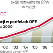 W minionym roku portfel akcji zwiększył się o ponad 24 mld zł. To efekt wzrostu kursów tych walorów 