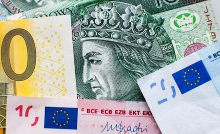 W ostatnich tygodniach złoty należał do najmocniejszych walut świata