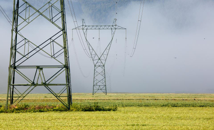 Pytanie do Sądu Najwyższego ws. rekompensaty dla właściciela działki z linią energetyczną
