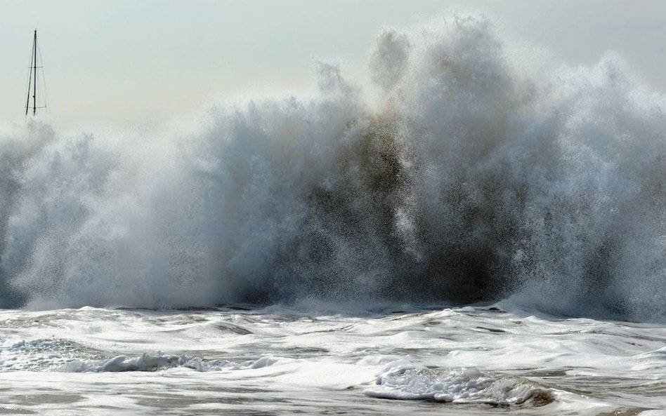 Przez pomyłkę dostali ostrzeżenie przed tsunami