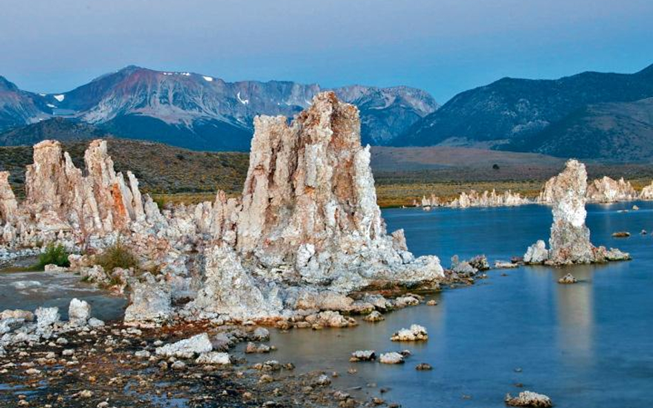 Niezwykłe Mono Lake w Kalifornii kryje również niezwykłe organizmy żywe, które mogą wykorzystywać ar