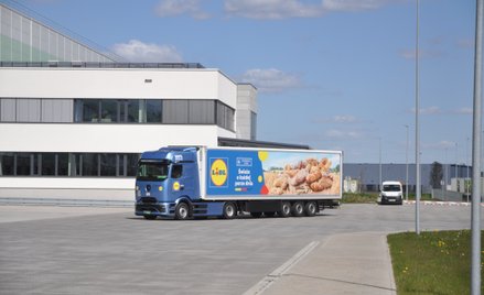 Nieśmiałe kroki kosztownej elektryfikacji