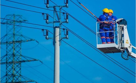 Tauron rozszerzył działalność o usługi telekomunikacyjne. Na razie hurtowe