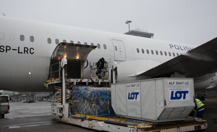W najbliższych tygodniach mogą spać ceny lotniczego frachtu
