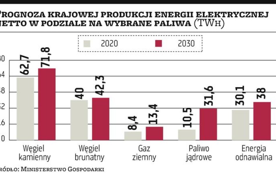 Enea nie rezygnuje z atomu