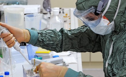 Wirus Marburg wykryty w Afryce. Śmiertelność to nawet 88 proc.