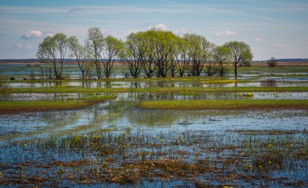 Dolina Biebrzy, a także Mierzeja Wiślana, przesmyk suwalski, Polesie i Roztocze to obszary strategic